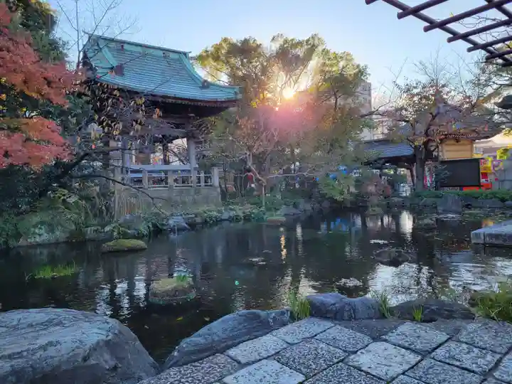 西新井大師総持寺の庭園