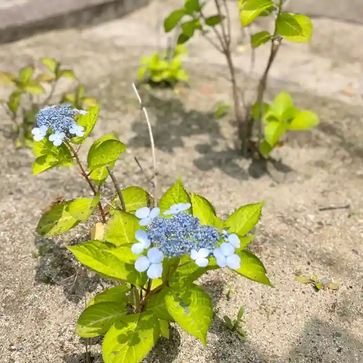 伊勢の国 四天王寺(三重県)