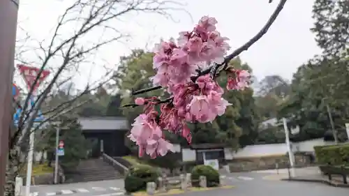 知恩院(京都府)