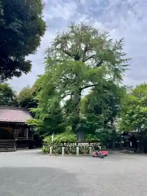 七社神社(東京都)