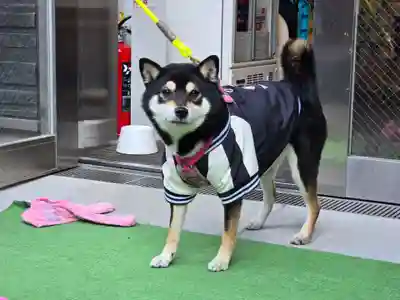 【閉業】小石川大神宮(東京都)