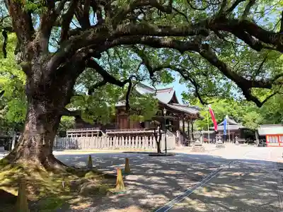 大原八幡宮(大分県)