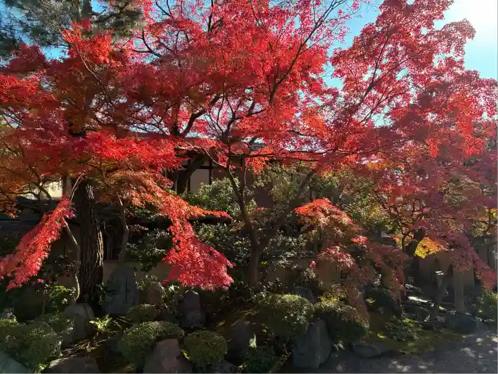 法観寺(京都府)