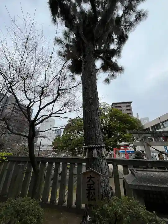 橿森神社(岐阜県)