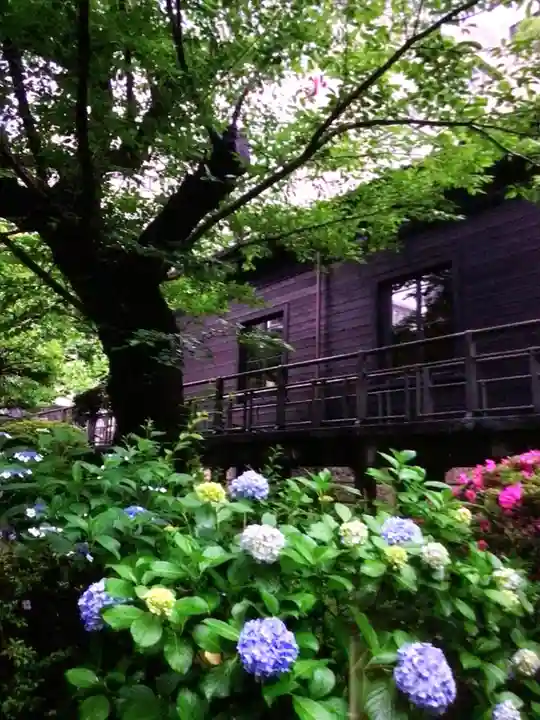 乃木神社(東京都)