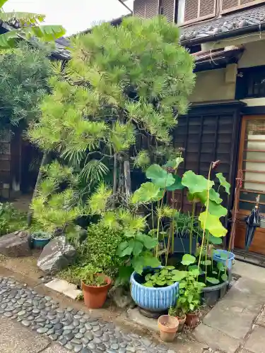 洞雲寺(東京都)