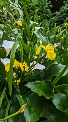 攝取院（摂取院）(滋賀県)