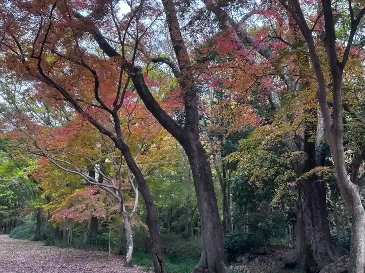 河合神社(鴨川合坐小社宅神社)(京都府)