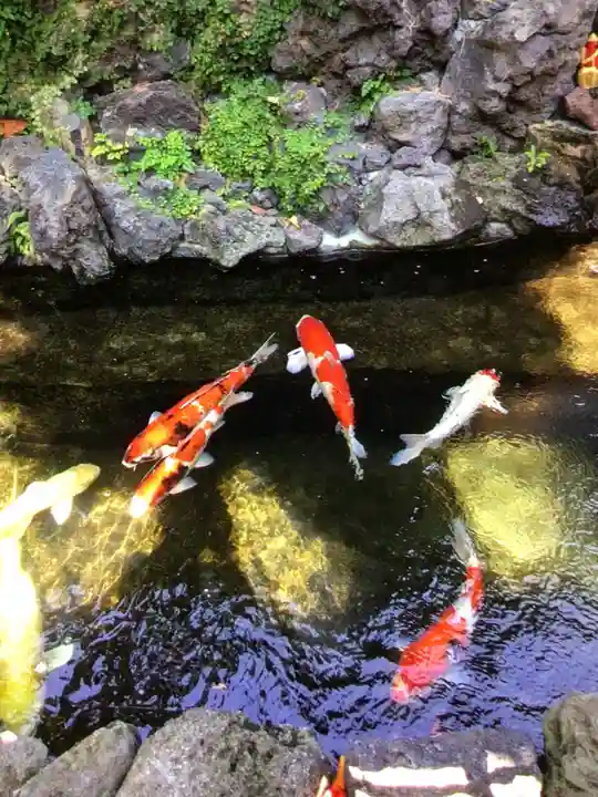 吉原弁財天本宮(吉原神社奥宮)(東京都)