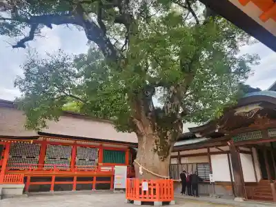 宇佐神宮の{uncategorized: "未分類", other: "その他", undefined: "問題あり", building: "その他建物", grave: "お墓", sacred_gate: "鳥居", guardian: "狛犬", statue: "像", buddha: "仏像", history: "歴史", nature: "自然", garden: "庭園", animal: "動物", pagoda: "塔", temizu: "手水舎", mountain_gate: "山門・神門", sanctuary: "本殿・本堂", subordinate: "末社・摂社", art: "芸術", scenery: "景色", jizo: "地蔵", ema: "絵馬", goshuin: "御朱印", omikuji: "おみくじ", items: "授与品その他", amulet: "お守り", goshuincho: "御朱印帳", eats: "食事", festival: "お祭り", votive_dance: "神楽", shichigosan: "七五三参", wedding: "結婚式", experience: "体験その他", initially: "初詣", around: "周辺", anti_infection: "感染症対策"}