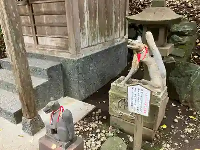 白笹稲荷神社の狛犬