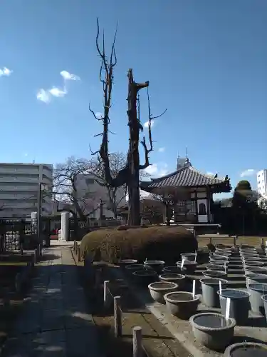 円乗院(東京都)