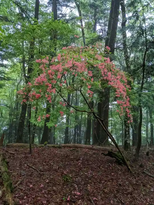 玉置神社(奈良県)