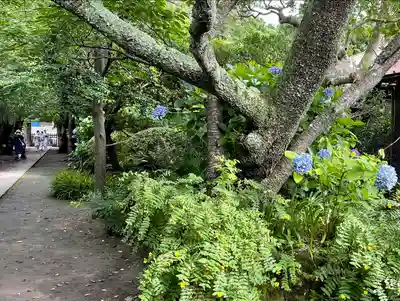 極楽寺（霊鷲山感應院極楽律寺）のその他建物