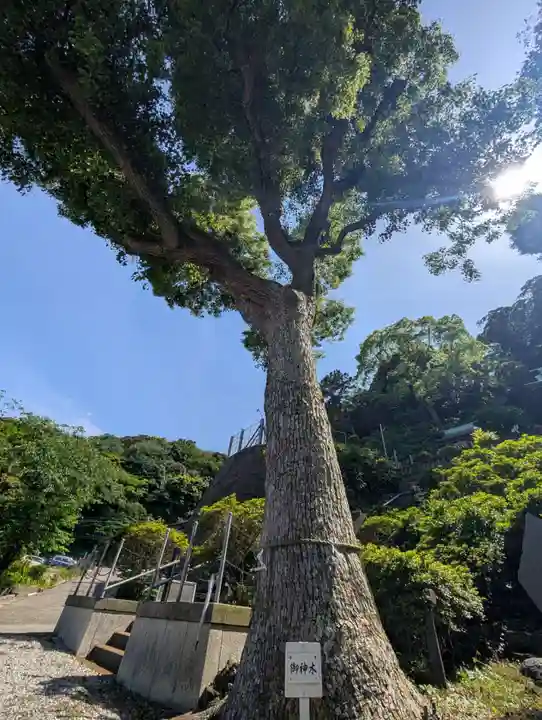 走水神社(神奈川県)