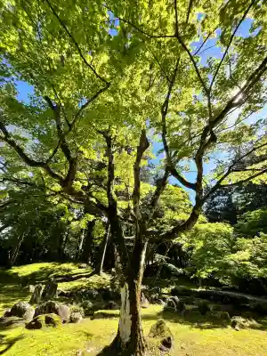 北畠神社の{uncategorized: "未分類", other: "その他", undefined: "問題あり", building: "その他建物", grave: "お墓", sacred_gate: "鳥居", guardian: "狛犬", statue: "像", buddha: "仏像", history: "歴史", nature: "自然", garden: "庭園", animal: "動物", pagoda: "塔", temizu: "手水舎", mountain_gate: "山門・神門", sanctuary: "本殿・本堂", subordinate: "末社・摂社", art: "芸術", scenery: "景色", jizo: "地蔵", ema: "絵馬", goshuin: "御朱印", omikuji: "おみくじ", items: "授与品その他", amulet: "お守り", goshuincho: "御朱印帳", eats: "食事", festival: "お祭り", votive_dance: "神楽", shichigosan: "七五三参", wedding: "結婚式", experience: "体験その他", initially: "初詣", around: "周辺", anti_infection: "感染症対策"}