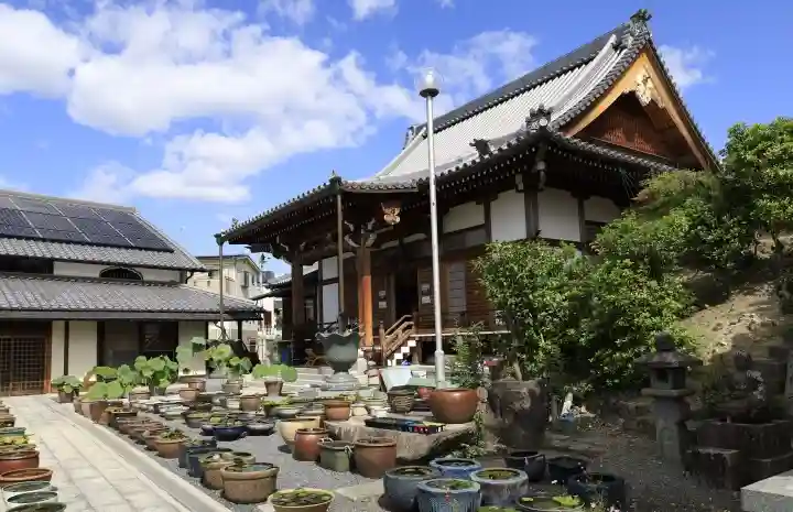安養寺(京都府)