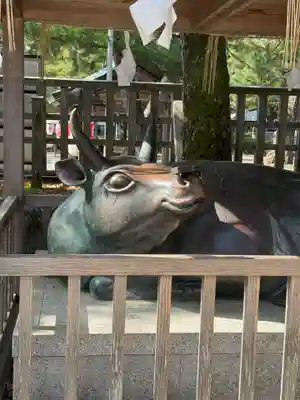 出雲大社(島根県)