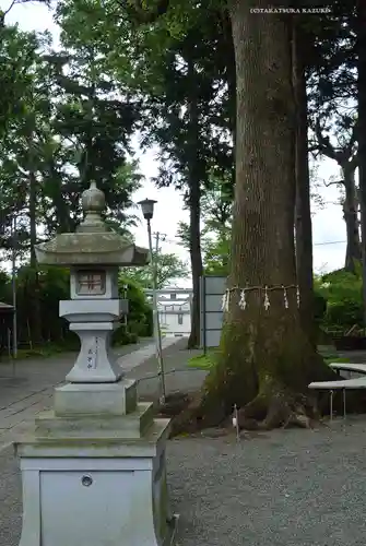 星川杉山神社(神奈川県)
