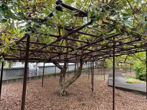 長泉寺(埼玉県)