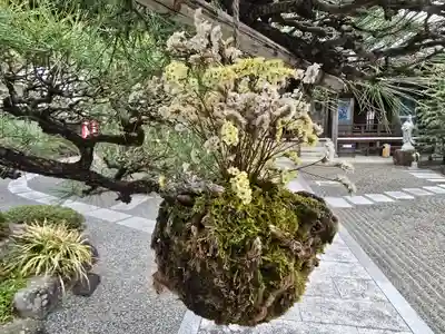 多聞寺(兵庫県)