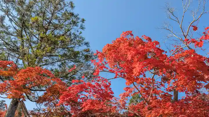 鍬山神社(京都府)