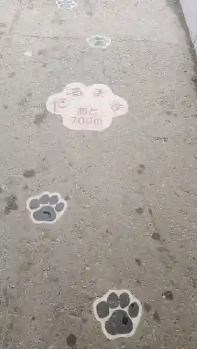 達磨寺の{uncategorized: "未分類", other: "その他", undefined: "問題あり", building: "その他建物", grave: "お墓", sacred_gate: "鳥居", guardian: "狛犬", statue: "像", buddha: "仏像", history: "歴史", nature: "自然", garden: "庭園", animal: "動物", pagoda: "塔", temizu: "手水舎", mountain_gate: "山門・神門", sanctuary: "本殿・本堂", subordinate: "末社・摂社", art: "芸術", scenery: "景色", jizo: "地蔵", ema: "絵馬", goshuin: "御朱印", omikuji: "おみくじ", items: "授与品その他", amulet: "お守り", goshuincho: "御朱印帳", eats: "食事", festival: "お祭り", votive_dance: "神楽", shichigosan: "七五三参", wedding: "結婚式", experience: "体験その他", initially: "初詣", around: "周辺", anti_infection: "感染症対策"}