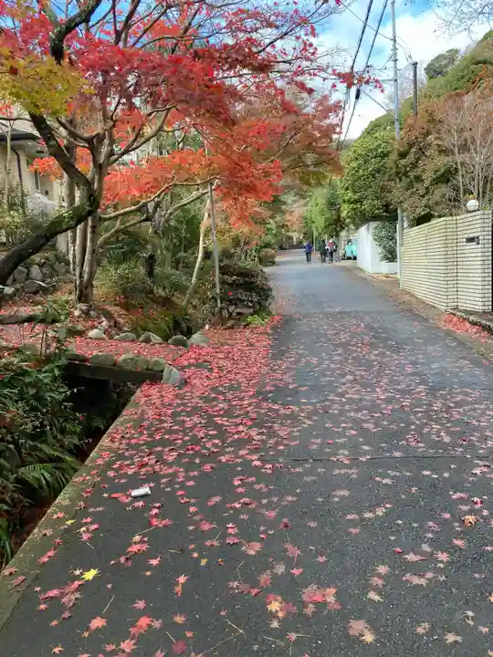 海蔵寺(神奈川県)