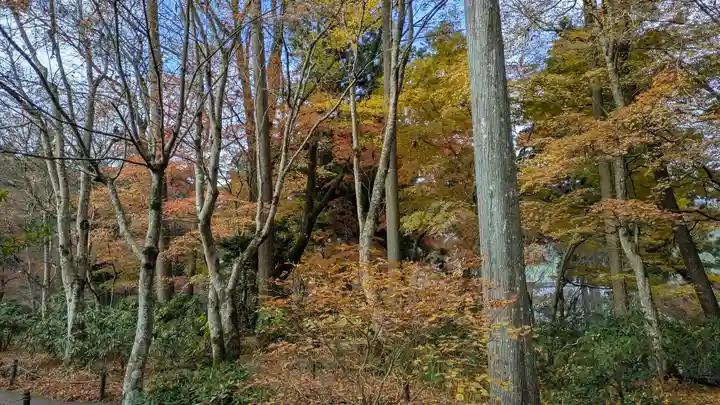 三千院門跡(京都府)
