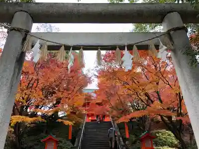 穴八幡宮の鳥居