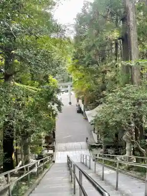 宝登山神社(埼玉県)