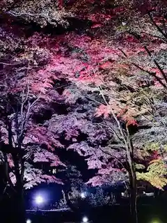 土津神社｜こどもと出世の神さま(福島県)