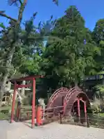 金剛證寺の庭園