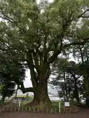 南方神社(宮崎県)