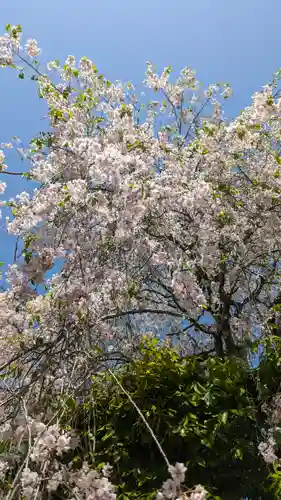 圓光寺(京都府)