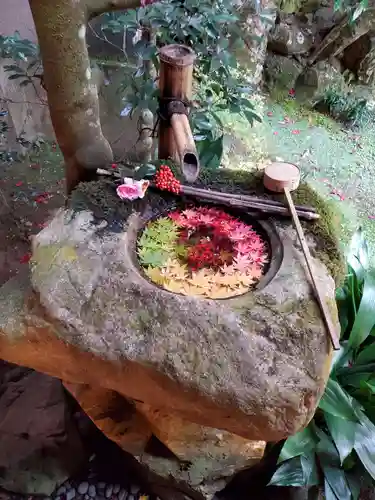 柳谷観音　楊谷寺の手水舎