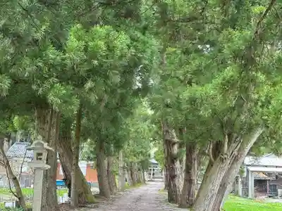 浅井神社(富山県)