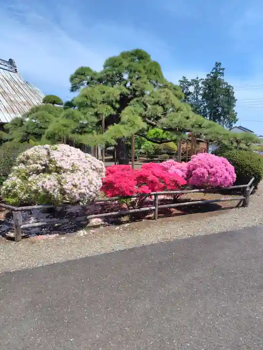 養寿寺(群馬県)
