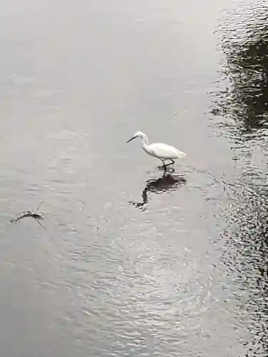 下高井戸八幡神社(東京都)