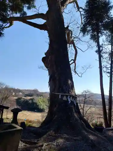 阿久津「田村神社」（郡山市阿久津町）旧社名：伊豆箱根三嶋三社(福島県)