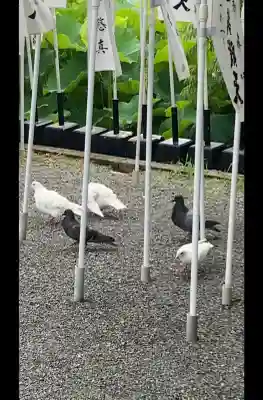 旗上弁財天社(神奈川県)