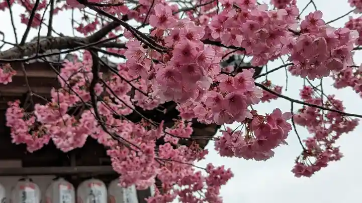 大歳神社(京都府)