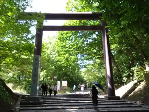 北海道神宮の鳥居