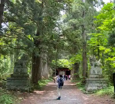 戸隠神社奥社(長野県)