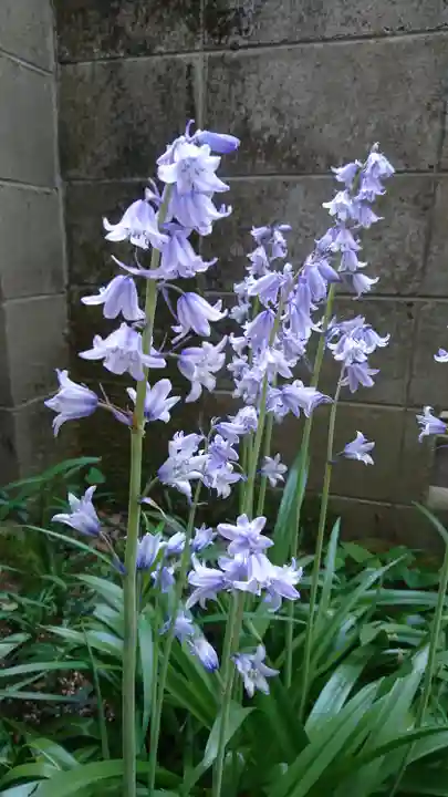 阿邪訶根神社の自然