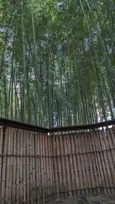 隨心院(随心院)(京都府)