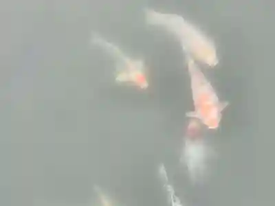 宇賀神社(岡山県)