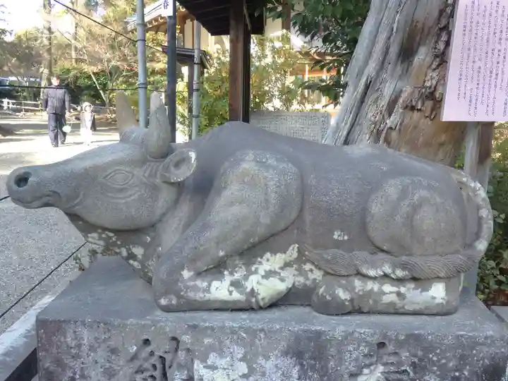 長岡天満宮の狛犬