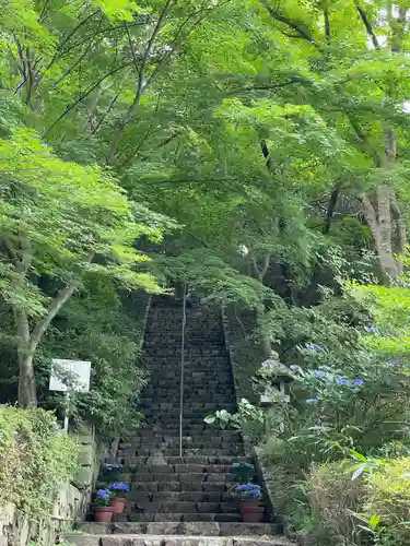 久安寺(大阪府)
