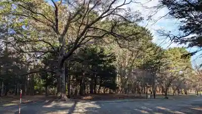 北海道神宮の周辺